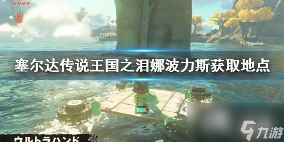 《塞尔达传说王国之泪》娜波力斯获取地点 娜波力斯怎么获取？