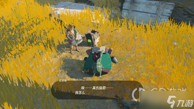 塞尔达传说王国之泪搜救队如何打