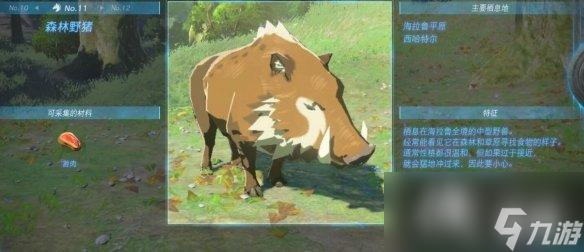 《塞尔达传说王国之泪》动物栖息地大全 全动物图鉴一览