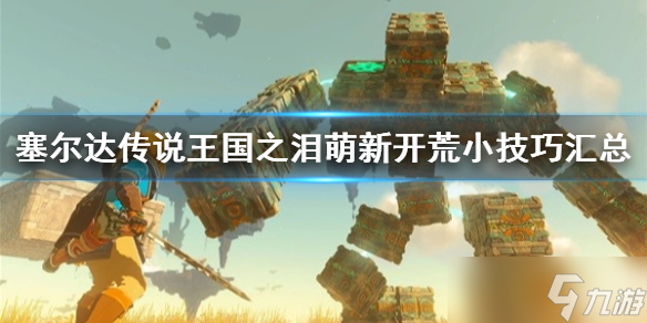 《塞尔达传说王国之泪》萌新开荒小技巧汇总 有什么小技巧？