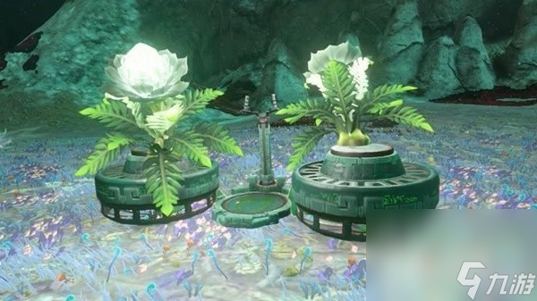《塞尔达传说王国之泪》低能耗飞行装置组合分享