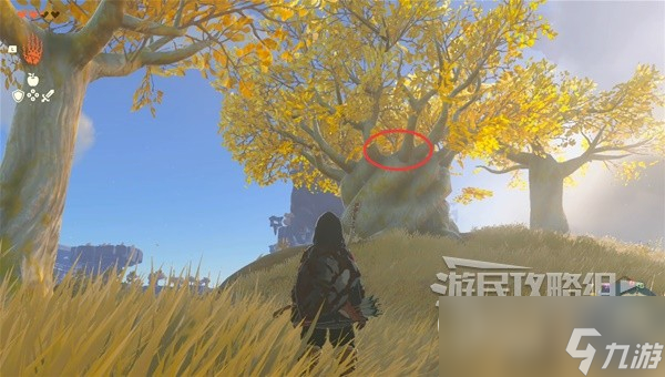 塞尔达传说王国之泪初始空岛全呀哈哈收集攻略详情
