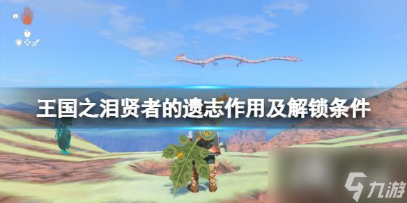 《塞尔达传说王国之泪》贤者技能是什么？贤者的遗志作用及解锁条件