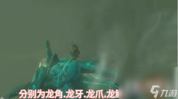 《塞尔达传说王国之泪》龙爪获得方法