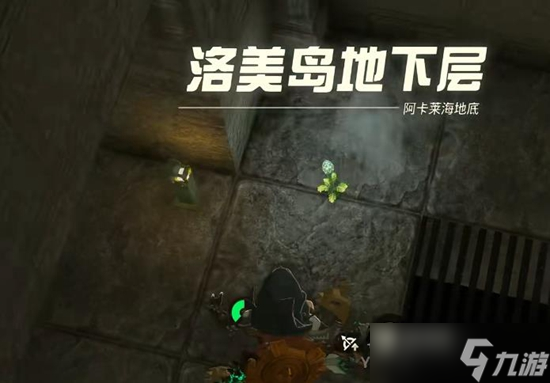 塞尔达传说王国之泪异次元​恶灵套获取攻略