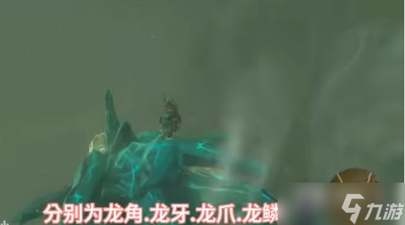 《塞尔达传说王国之泪》龙爪获得方法