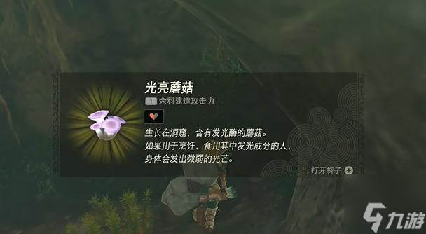 塞尔达传说王国之泪撒哈斯拉平原鸟望台怎么开-撒哈斯拉平原鸟望台开启方法