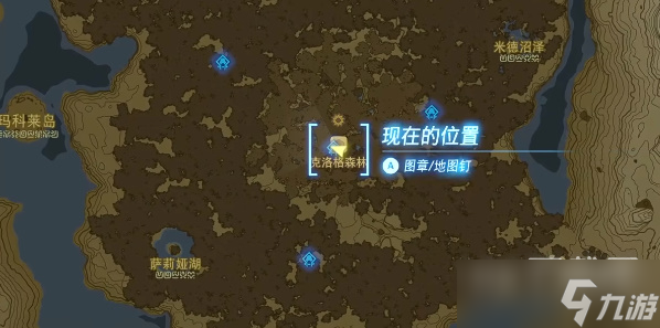 塞尔达传说王国之泪海拉鲁大森林神庙位置介绍