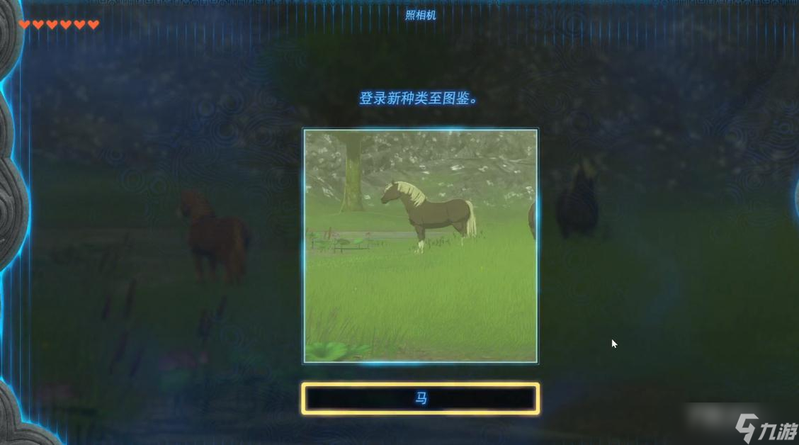 《塞尔达传说：王国之泪》马的布料获得方法