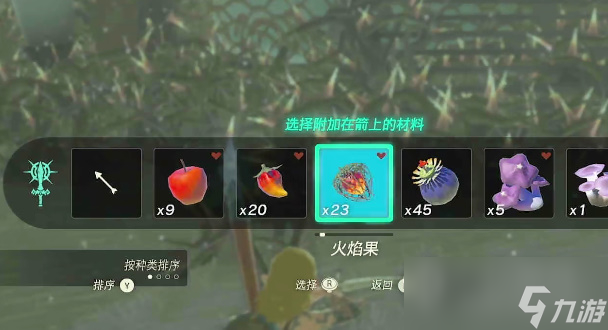 塞尔达传说王国之泪卡尔加岭鸟望台开启方法