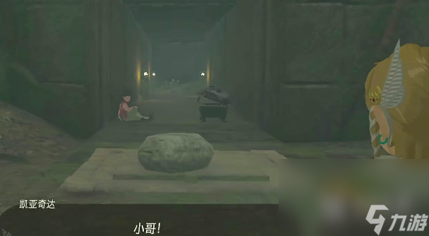 塞尔达传说王国之泪泡泡拉高地鸟望台怎么开启