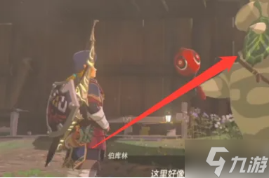 塞爾達傳說王國之淚武器背包怎擴容