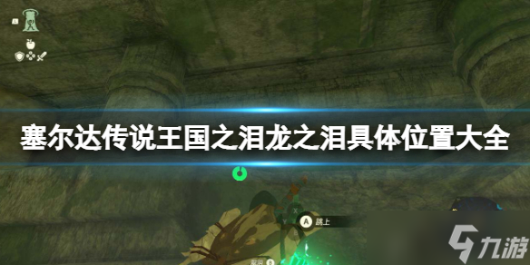 《塞尔达传说王国之泪》龙之泪具体位置大全 全龙之泪攻略地图标注