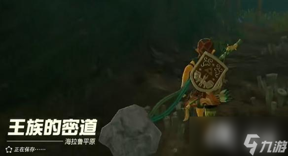 《塞尔达传说王国之泪》海利亚士兵铠甲怎么获得？海利亚士兵铠甲获取攻略