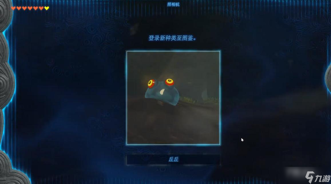 《塞尔达传说：王国之泪》丘丘的布料获得方法