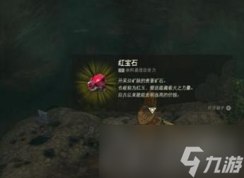 《塞尔达传说王国之泪》红宝石可以卖吗