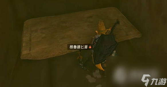 《塞尔达传说王国之泪》格鲁德匕首获得攻略