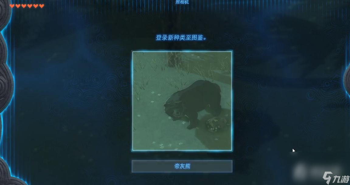 《塞尔达传说：王国之泪》帝灰熊的布料获得方法