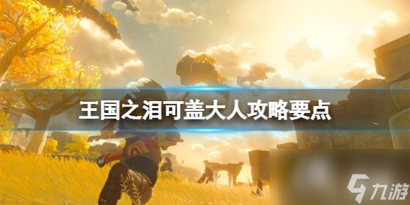 《塞尔达传说王国之泪》可盖大人怎么打？可盖大人攻略要点