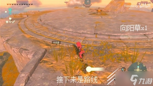 塞尔达传说王国之泪向阳草采集路线