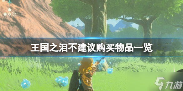 《塞爾達傳說王國之淚》哪些材料不建議買？不建議購買物品一覽