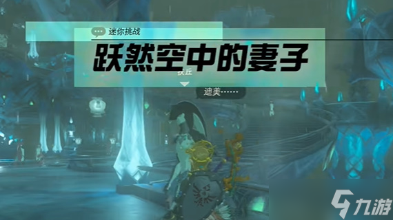 塞尔达跃然空中的妻子怎么做