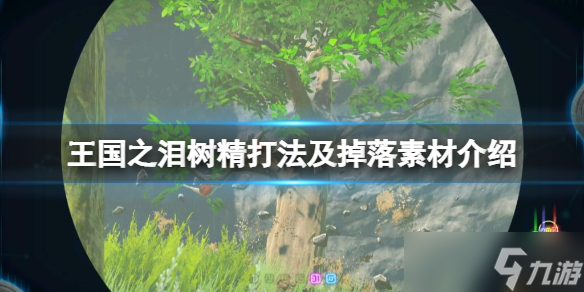 《塞尔达传说王国之泪》树精怎么打？树精打法及掉落素材介绍