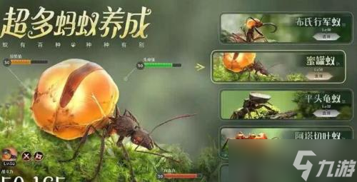 小小蚁国手游猎虫蝽怎么培养？猎虫蝽培养攻略