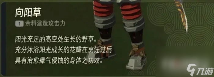 《塞尔达传说王国之泪》奶奶治病任务触发攻略