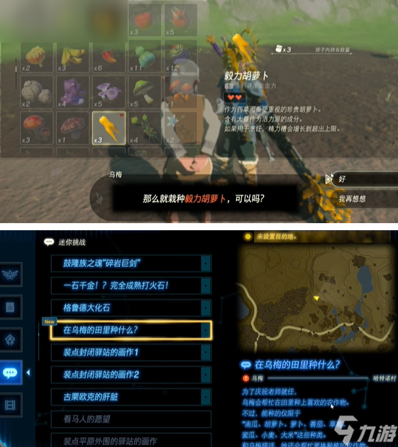 塞尔达传说王国之泪乌梅的田里种什么任务攻略