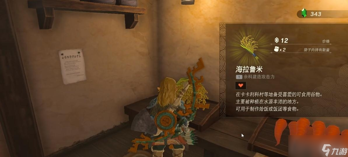 《塞尔达传说 王国之泪》沃托里村的布料获得方法