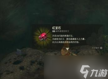 《塞尔达传说王国之泪》红宝石可以卖吗