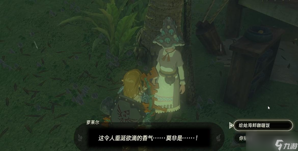 《塞尔达传说 王国之泪》沃托里村的布料获得方法