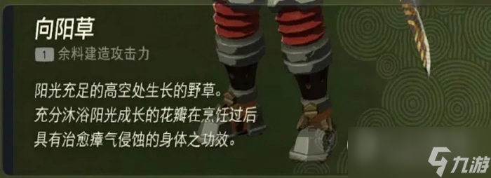 《塞尔达传说：王国之泪》卡卡利科村服装店任务完成方法
