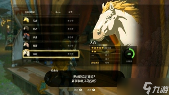 塞尔达传说王国之泪特殊马匹有哪些-全特殊马匹一览