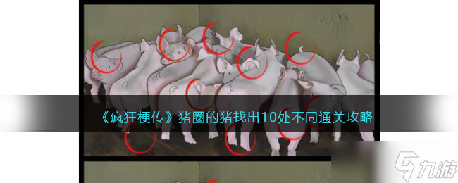 疯狂梗传猪圈的猪-找出10处不同通关攻略<span class='zzqColorRed'>抖音</span>