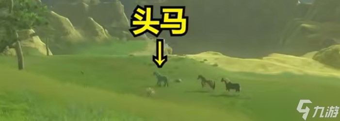 王国之泪253马位置介绍