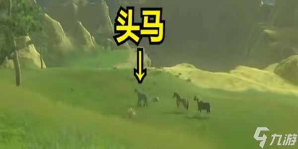 王国之泪445马位置介绍
