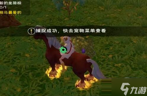 创造与魔法蓝蜥蜴在哪