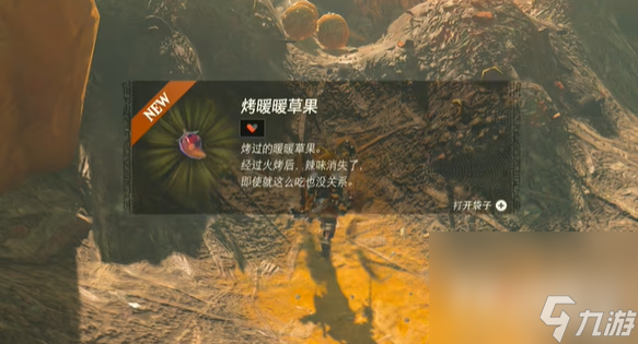 《塞尔达传说：王国之泪》未建成的马厩任务攻略