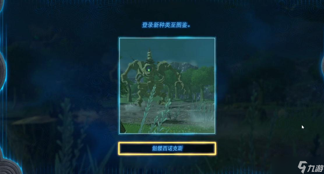 《塞尔达传说王国之泪》骷髅西诺克斯的布料怎么获得？骷髅西诺克斯的布料获得方法