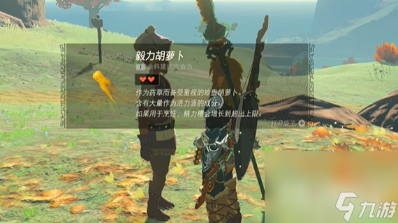 《塞尔达传说：王国之泪》聚集的海盗任务攻略