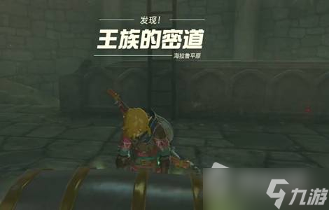 《塞尔达传说王国之泪》王族密道开启方法