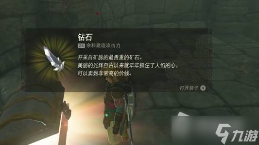 《塞尔达传说王国之泪》王族密道开启方法