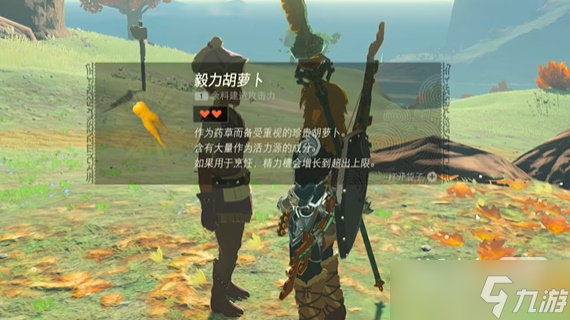 《塞尔达传说：王国之泪》聚集的海盗任务攻略指南