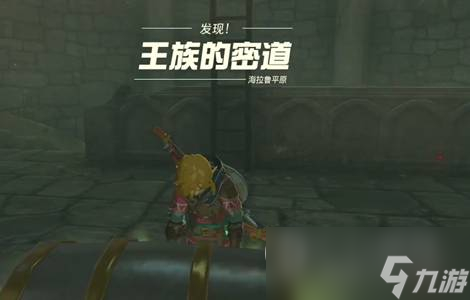 《塞尔达传说王国之泪》王族密道开启方法