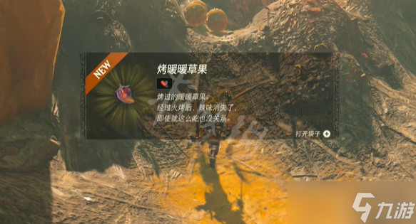 塞爾達(dá)傳說王國之淚風(fēng)滾草大掃除怎么做