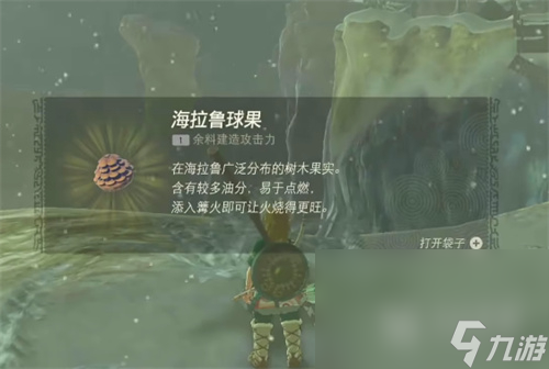 《塞尔达传说王国之泪》利特村断桥过法