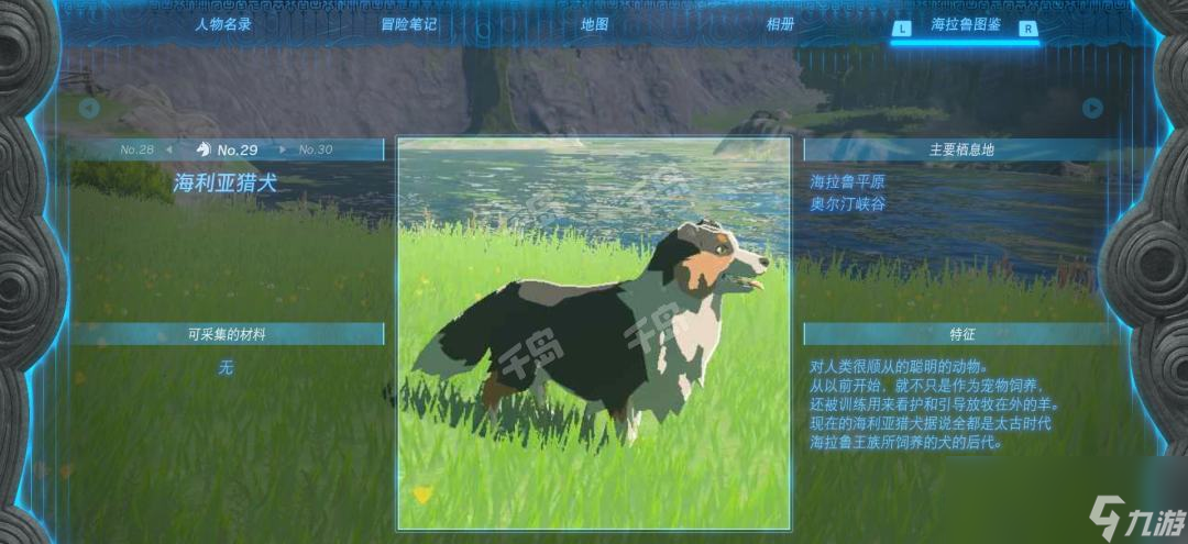 塞爾達(dá)傳說(shuō)王國(guó)之淚海利亞獵犬在哪里