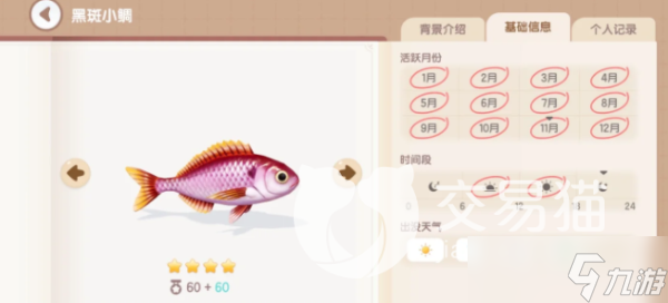 《心动小镇》海鱼种类介绍 海鱼有哪些种类？